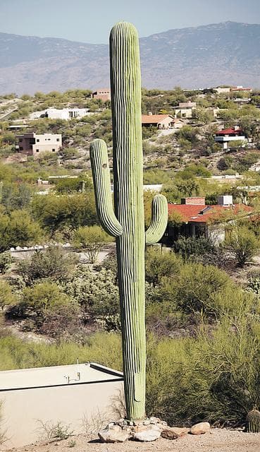 Struktur Kamuflase Dekoratif
